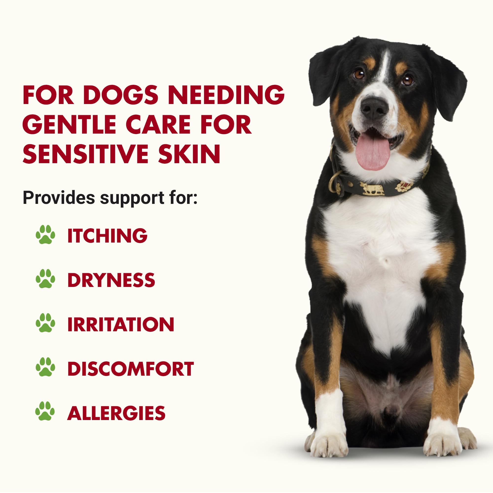 LIQUID-VET K9 Itch & Allergy, etiqueta frontal clara para identificar la fórmula.