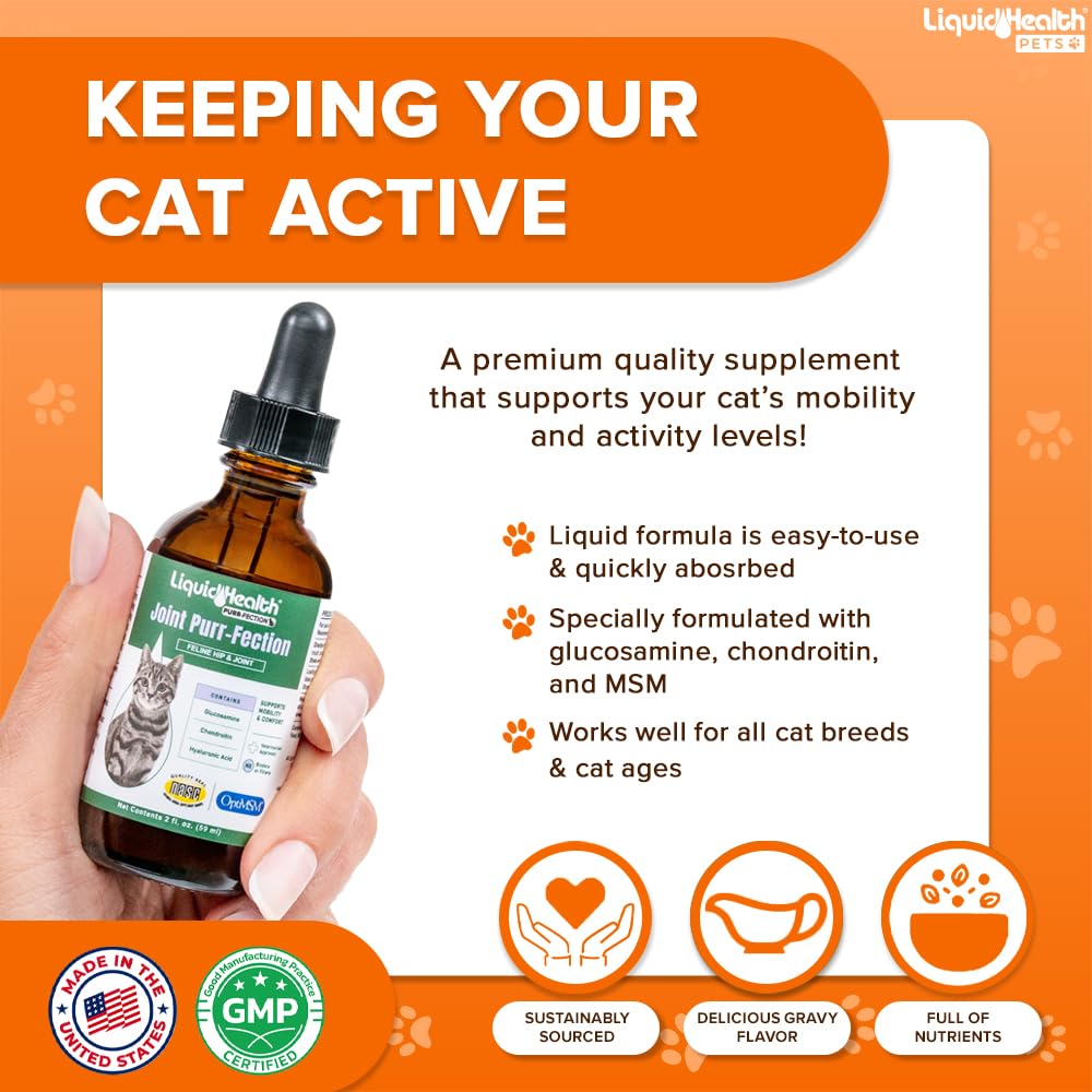 LIQUIDHEALTH GATOS movimiento: gato más ágil y flexible gracias al suplemento.