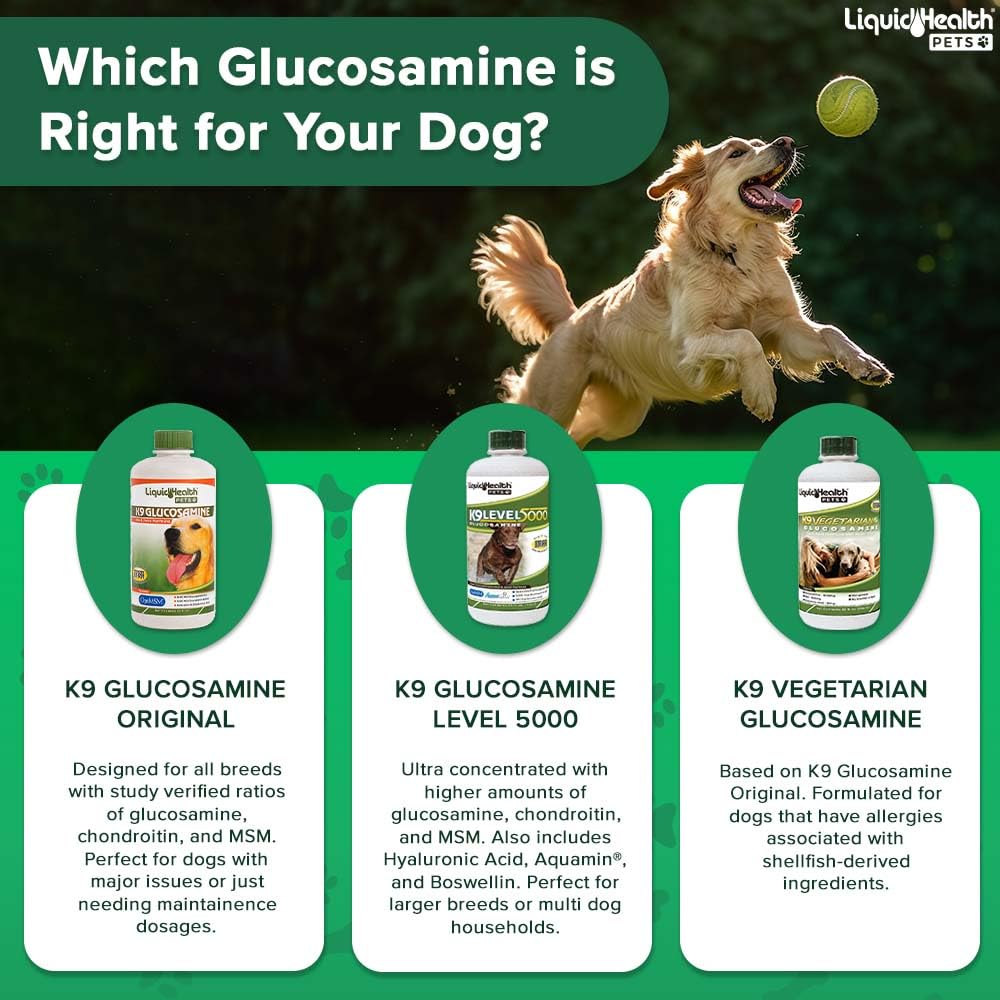 LIQUIDHEALTH Pets K9 Glucosamina, perro activo gracias a articulaciones saludables