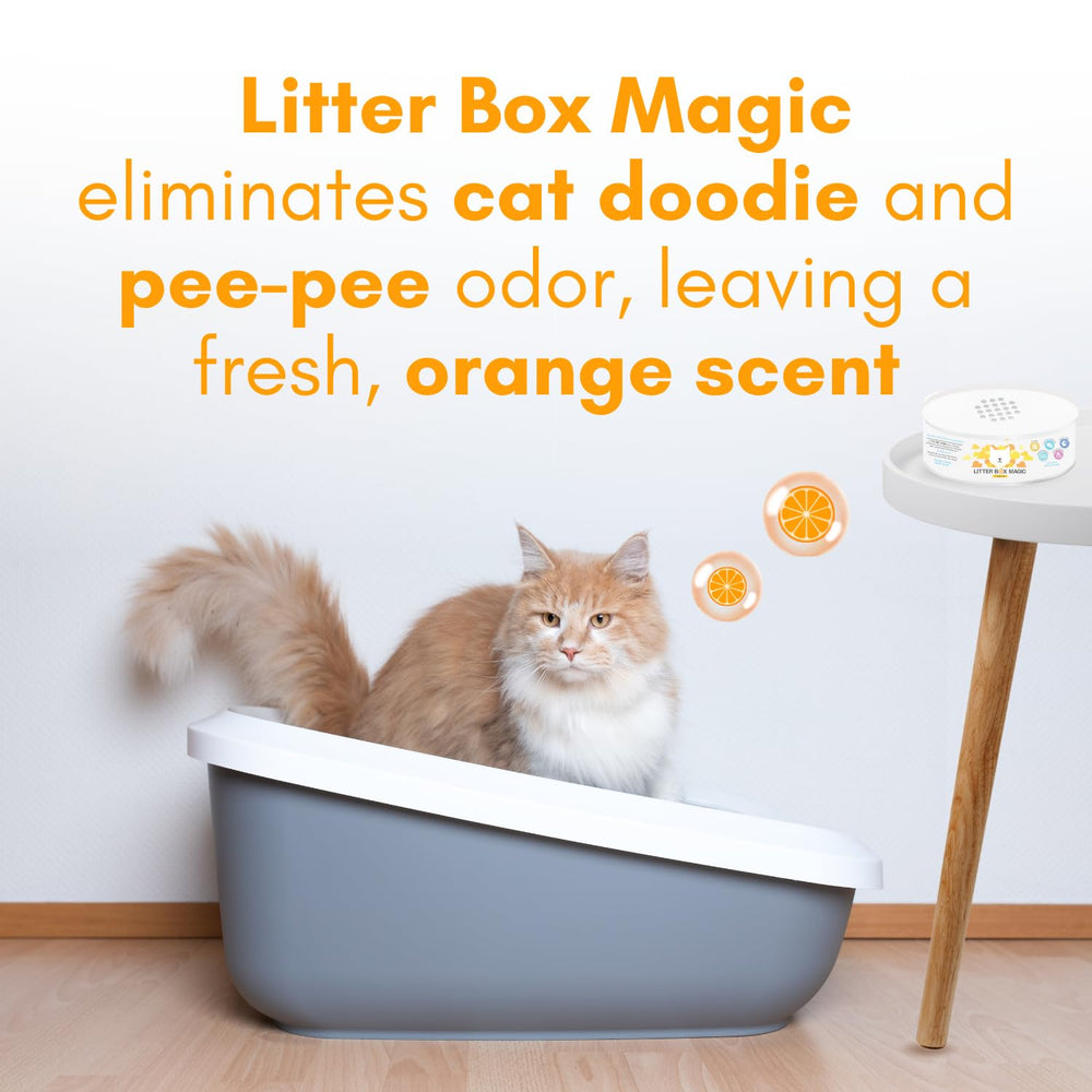 Litter Box Magic: gel eliminador de olores en naranja, primer plano.