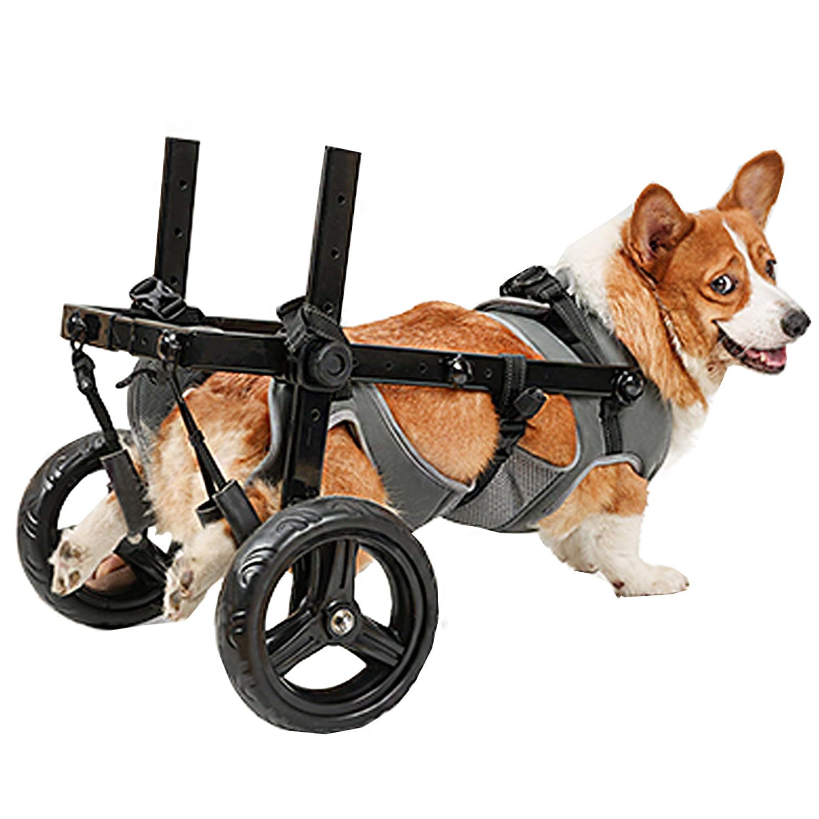 Silla-ruedas LIU&LIU para perro trasero, ensamblada y lista para uso diario.