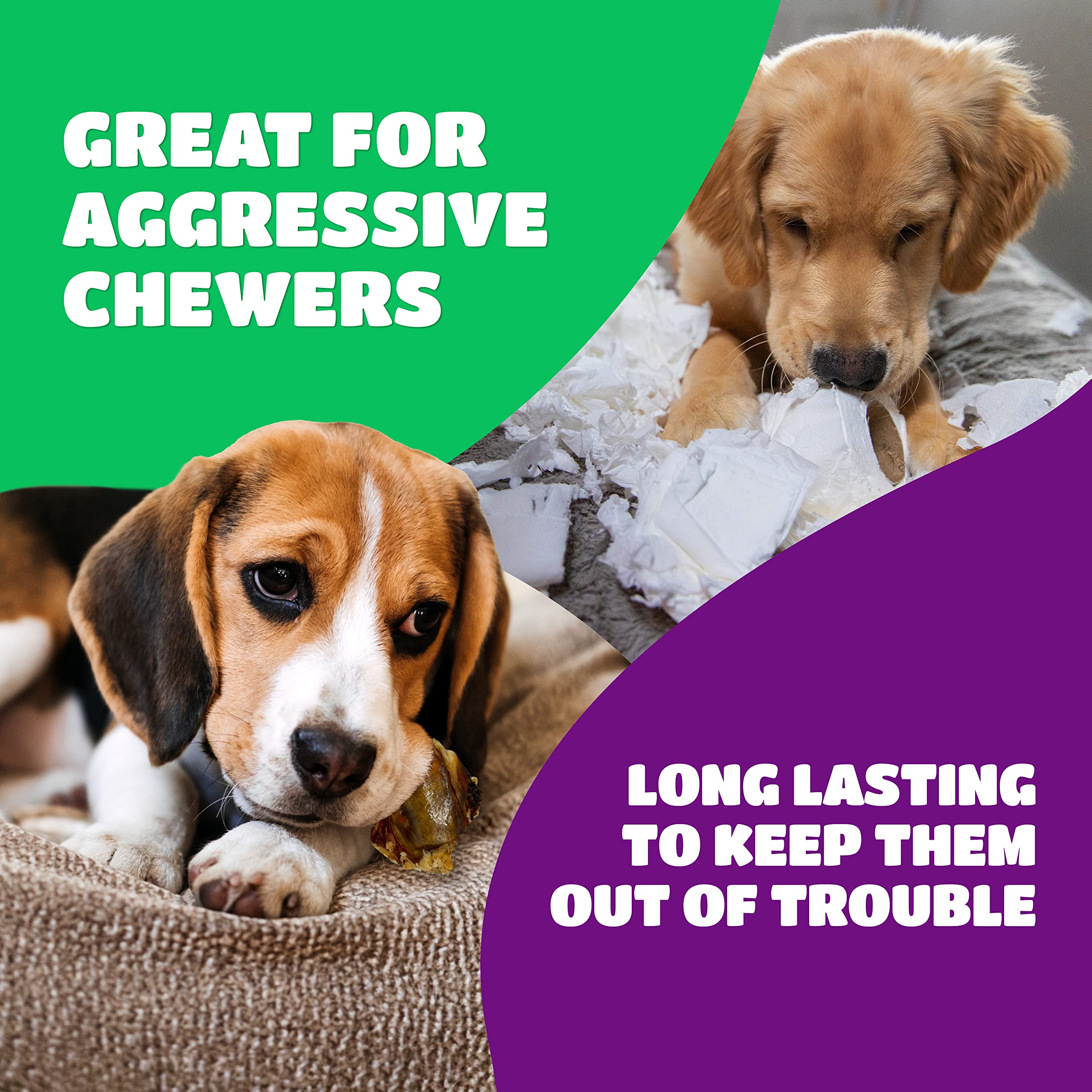 Lively Tails: perro mordiendo hueso de rodilla, entretenimiento seguro.