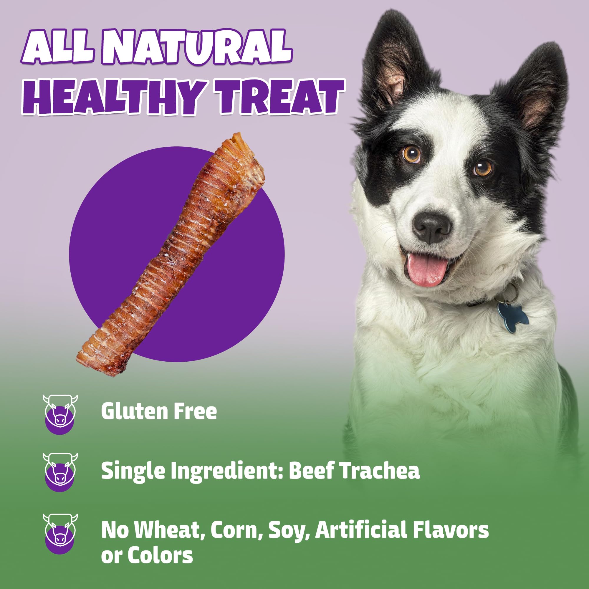 Lively Tails trachea de res con glucosamina: posible apoyo a articulaciones