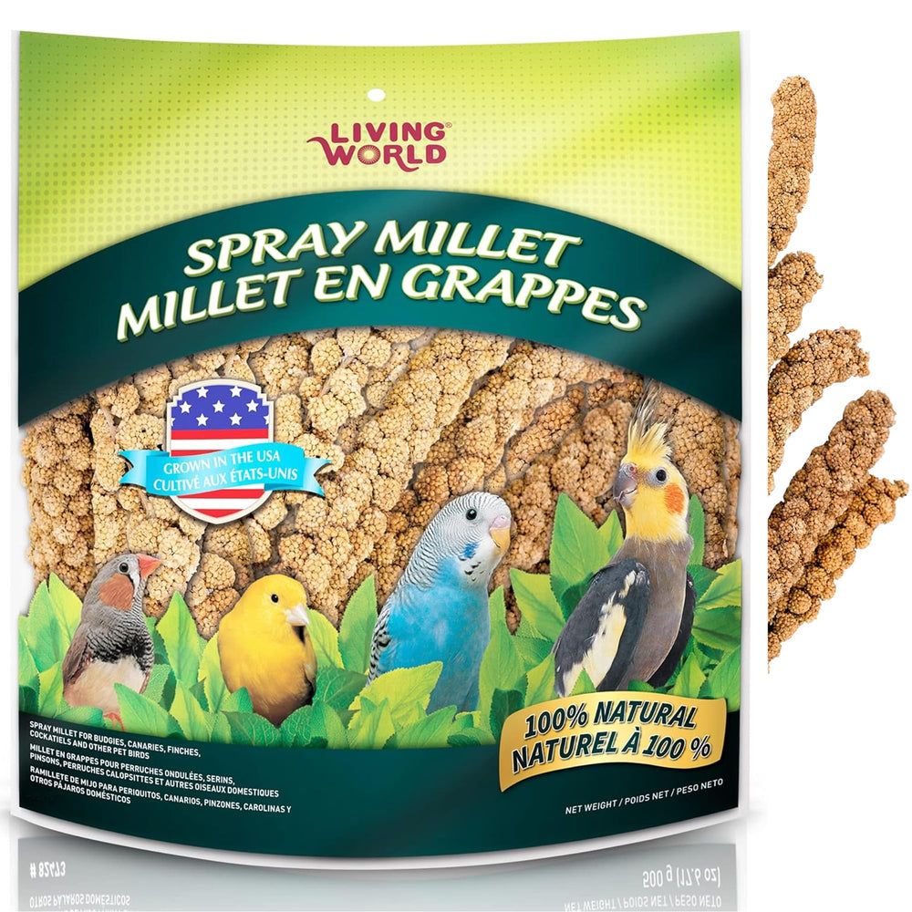 Living World mijo en aerosol: bolsa al vacío para frescura prolongada de aves
