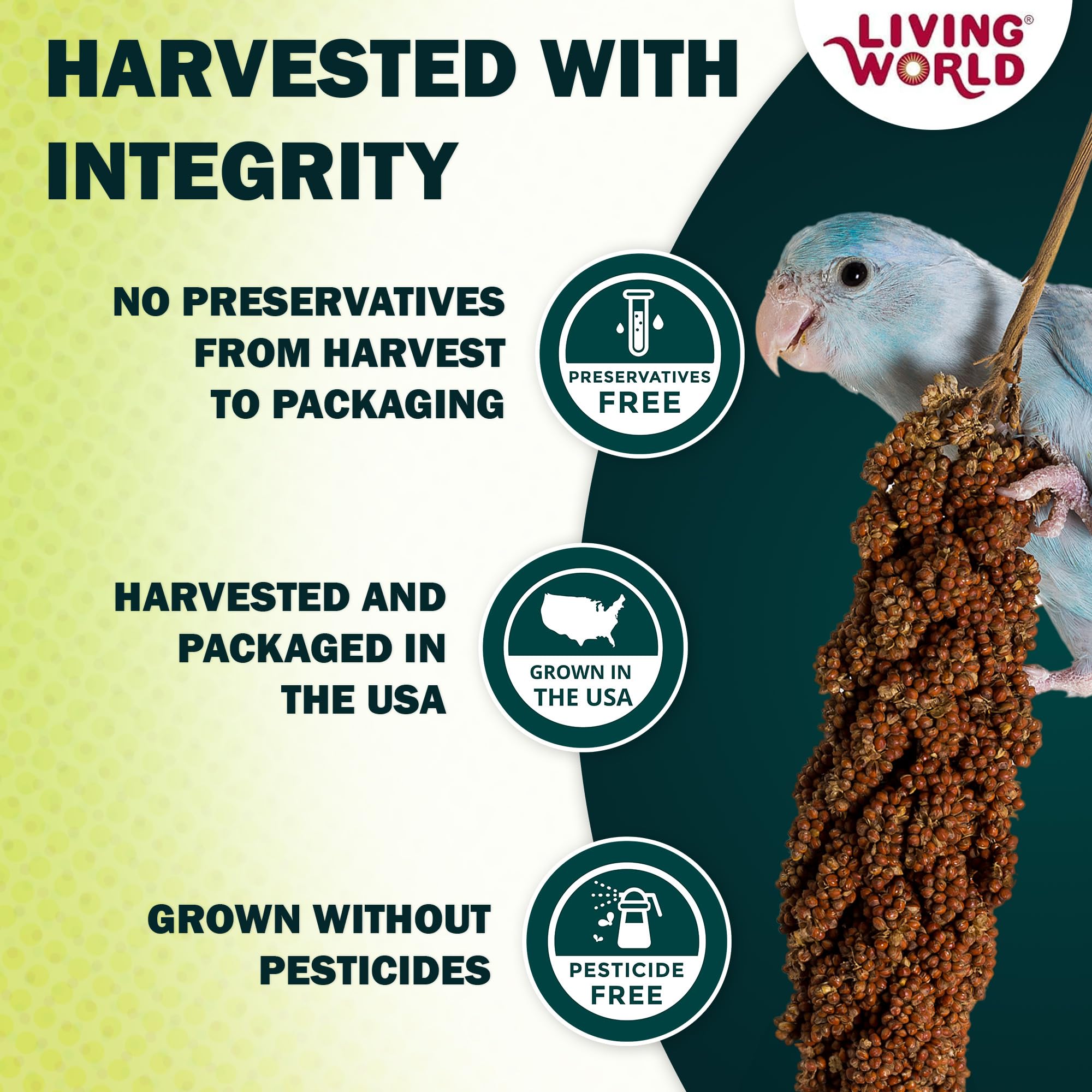 Living World mijo en aerosol: canarios en jaula disfrutan un snack sabroso