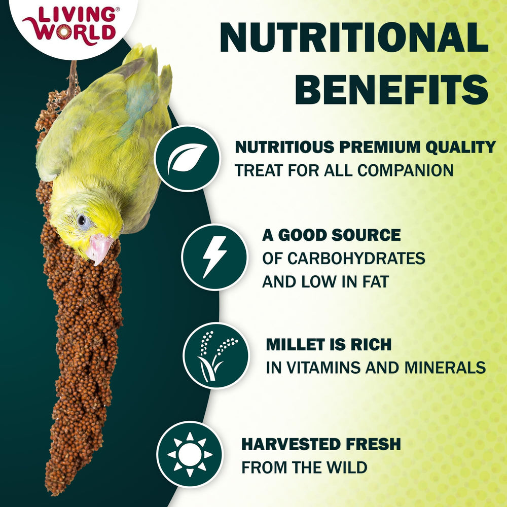 Living World mijo en aerosol: periquitos en plato, snack sabroso