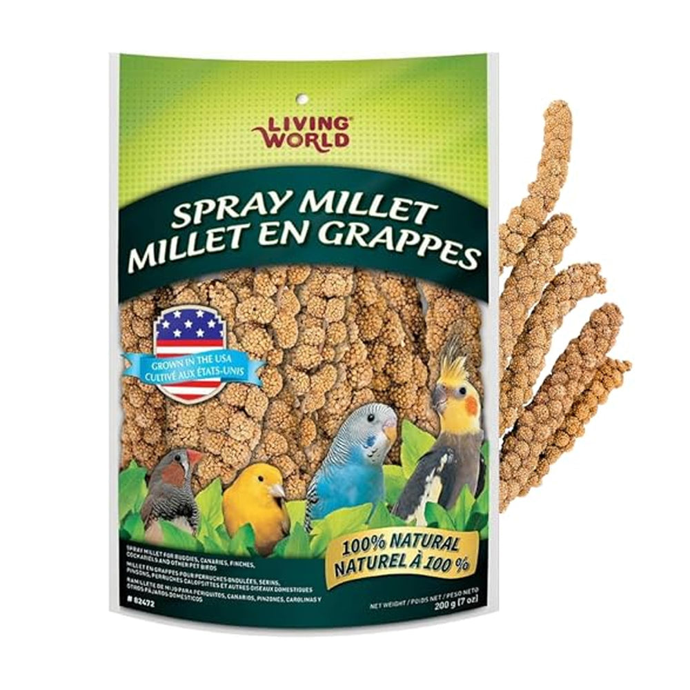 Living World mijo-ramitas-para-pájaros: snack natural para entretenimiento diario.