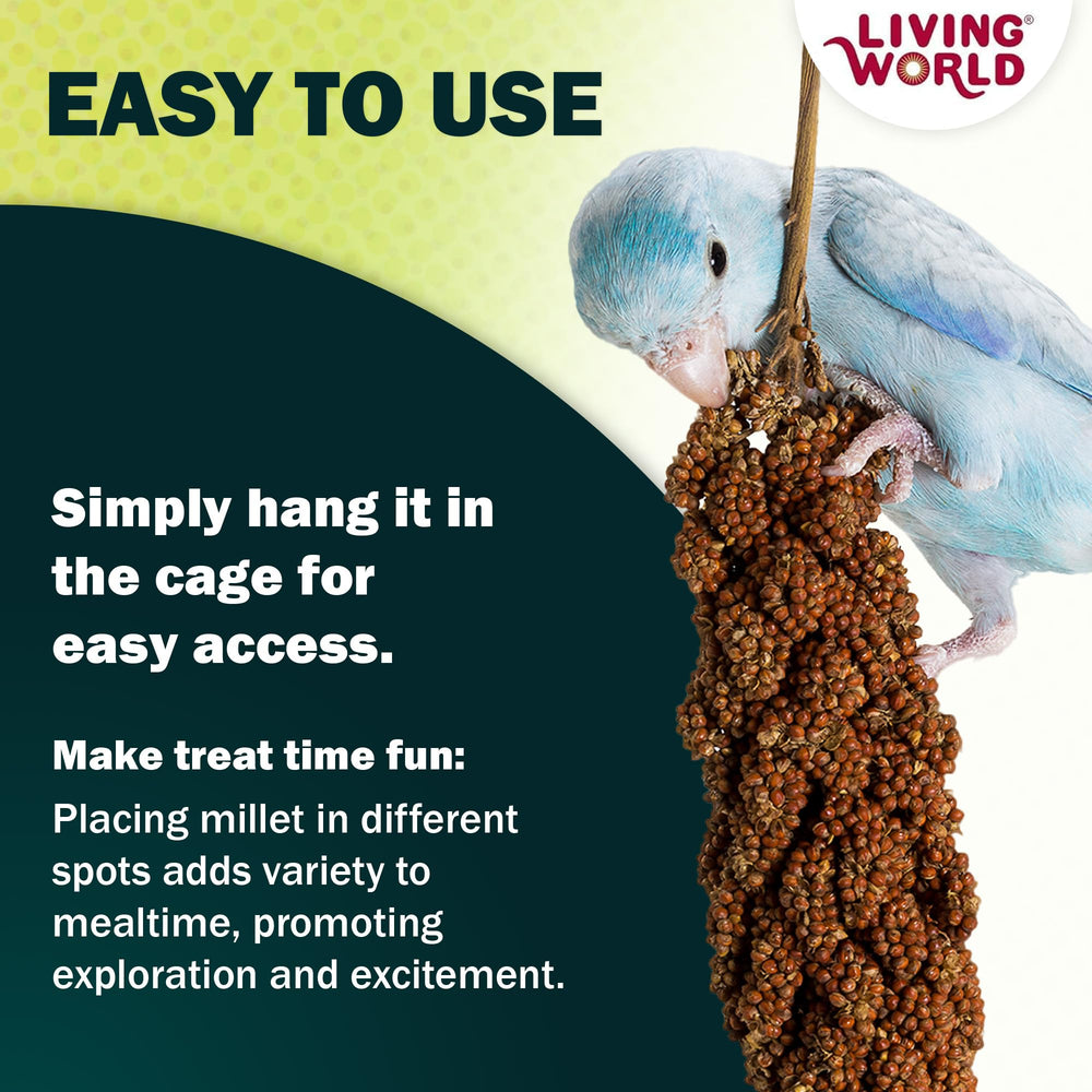 Ingredientes naturales de Living World Spray Millet sin aditivos.