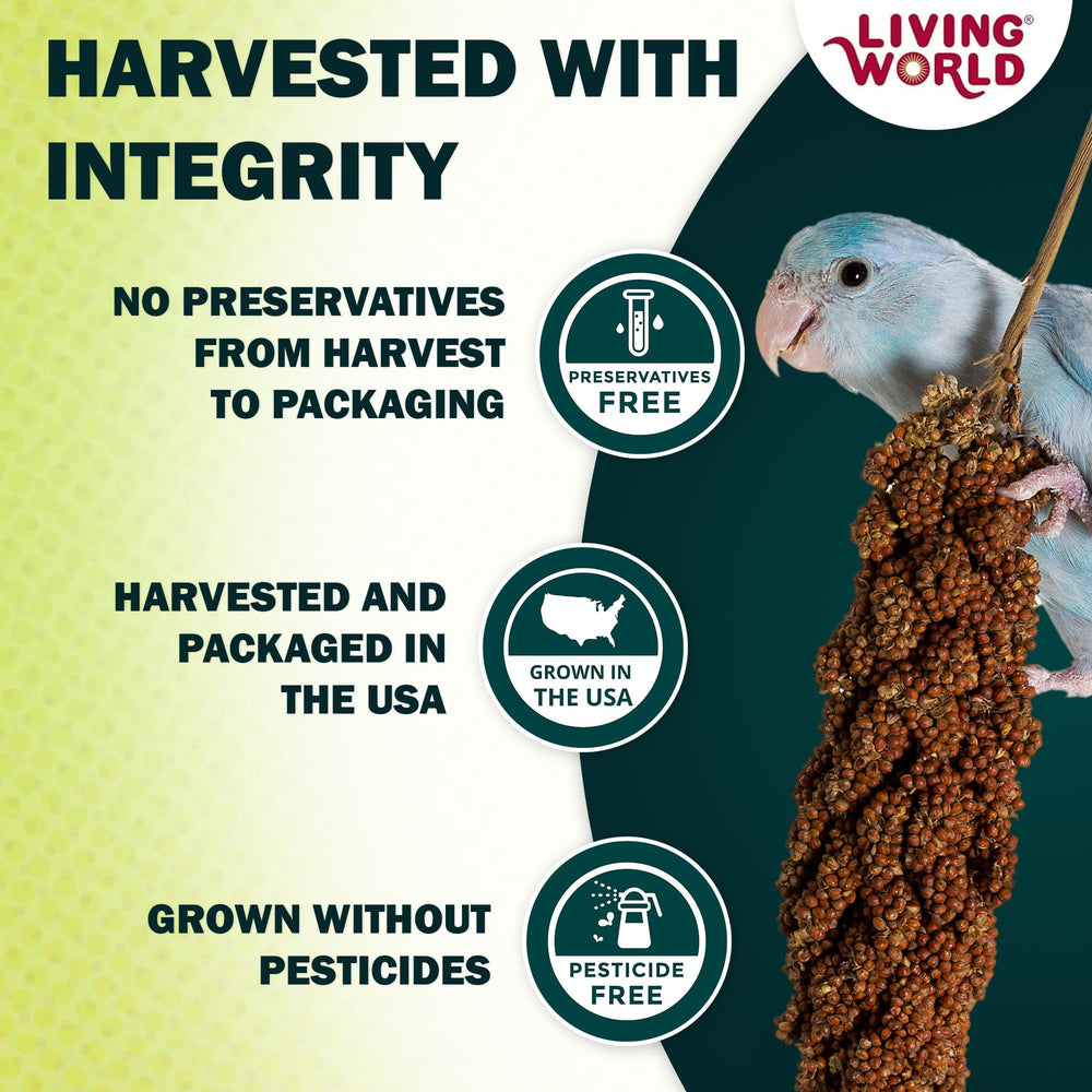 Pájaro comiendo Living World Spray Millet, experiencia natural y sabrosa.