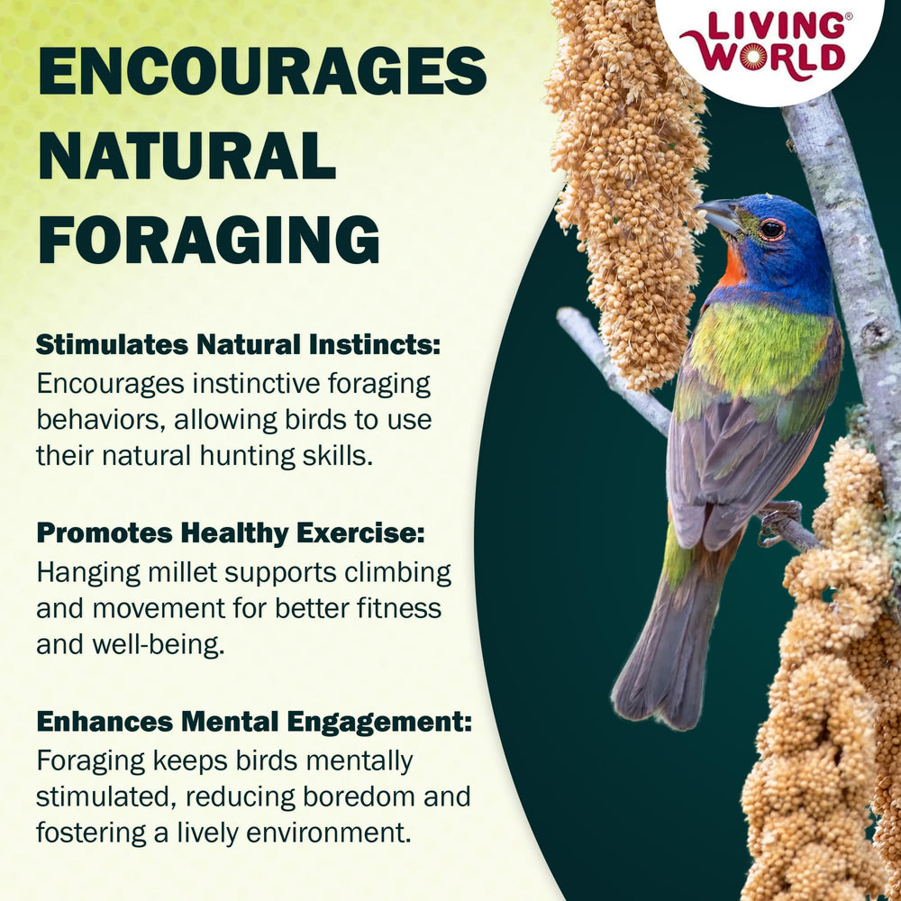Living World Spray Millet sin aditivos para aves curiosas.