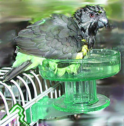 Lixit Quick Lock Baño jaula aves limpieza fácil y rápida