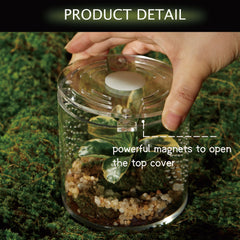 Terrario acrilico LIZ QNNALY para aranas saltarinas, ventilacion integrada.
