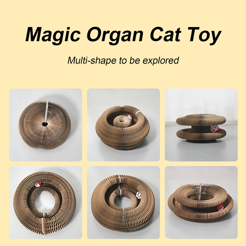 Lktvys Kitty Curlz bola con campana estimula juego interactivo del gato