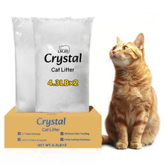 LMJP arena de cristal para gatos con absorción avanzada de humedad para bandeja limpia