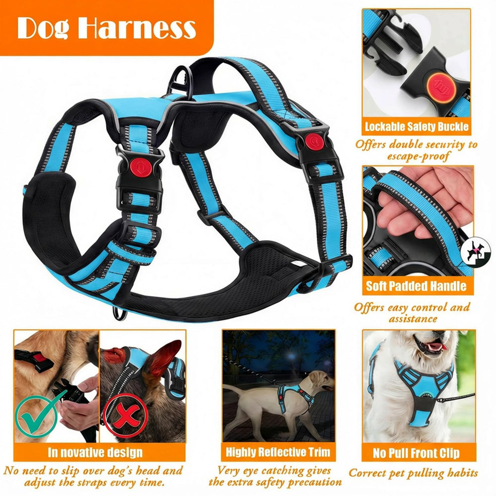 Lobeve cinturon-seguridad-auto: mantiene a tu mascota segura durante los viajes en coche.