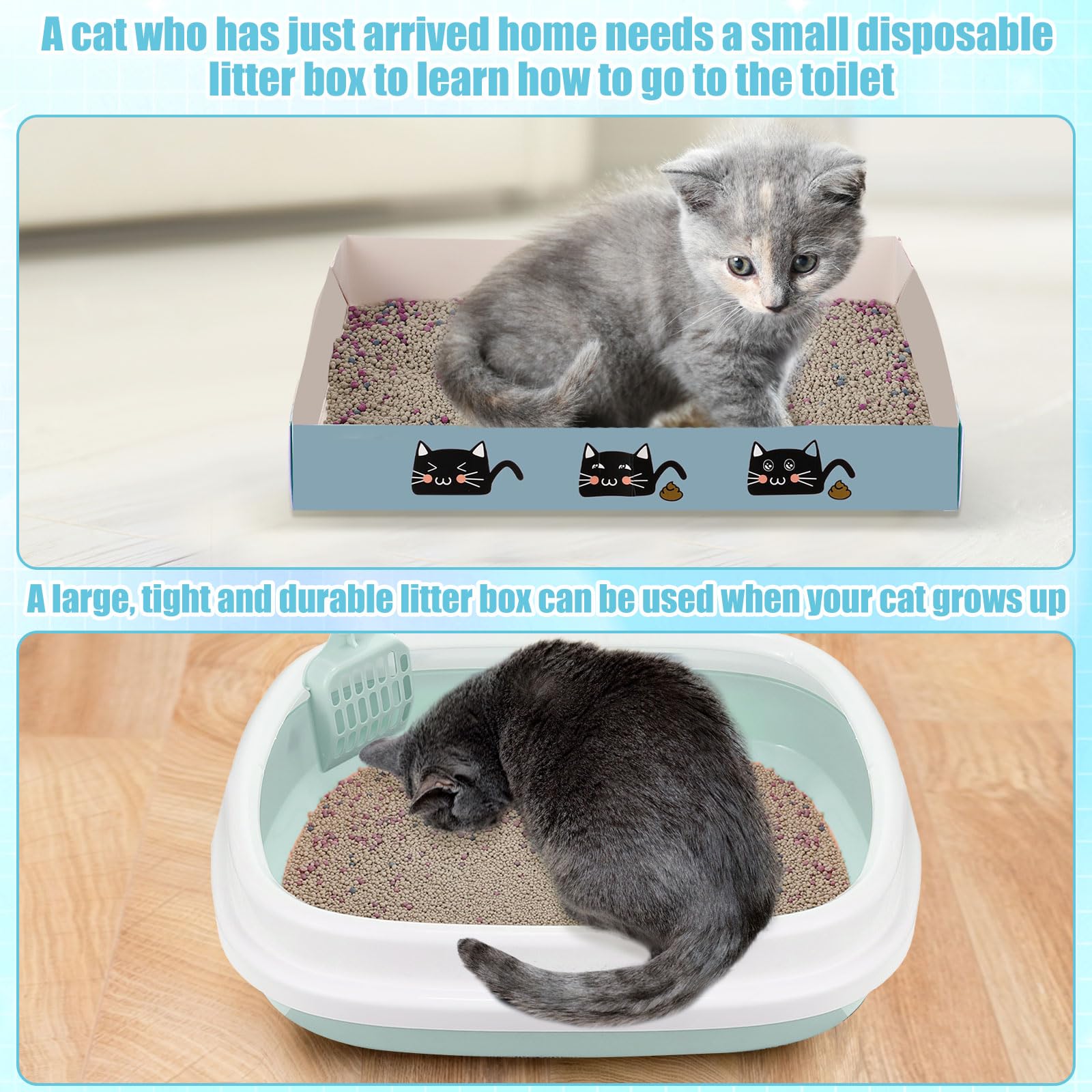 Locmeo kit gatitos: hamaca con ventosa para descanso seguro.
