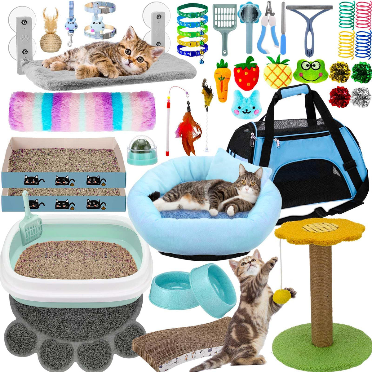Locmeo kit gatitos: caja de arena grande para higiene diaria.