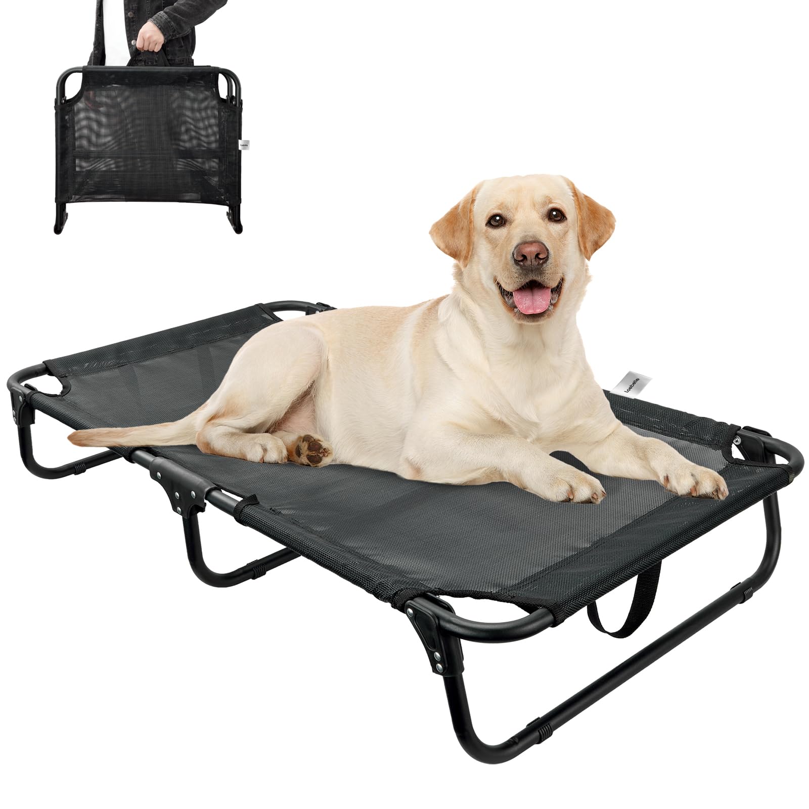 Loebelle cama para perros elevada plegable, ideal para uso general al aire libre.
