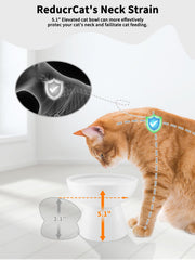 LoeJan cuenco-comida-gatos-inclinado, acceso sencillo y comida centrada.