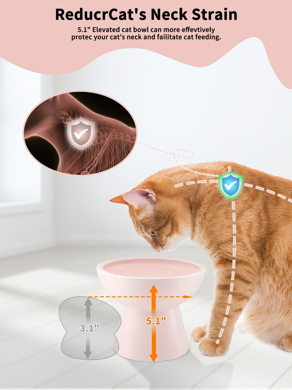 LoeJan diseño anti-bigotes rosa cuida los bigotes del gato