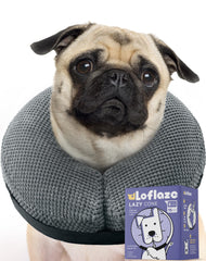 Loflaze collar inflable suave donut para perro gris, libertad de movimiento.