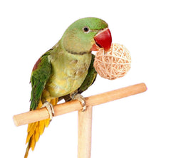 LOIUGENTE juguete para aves: bola de mimbre para masticar