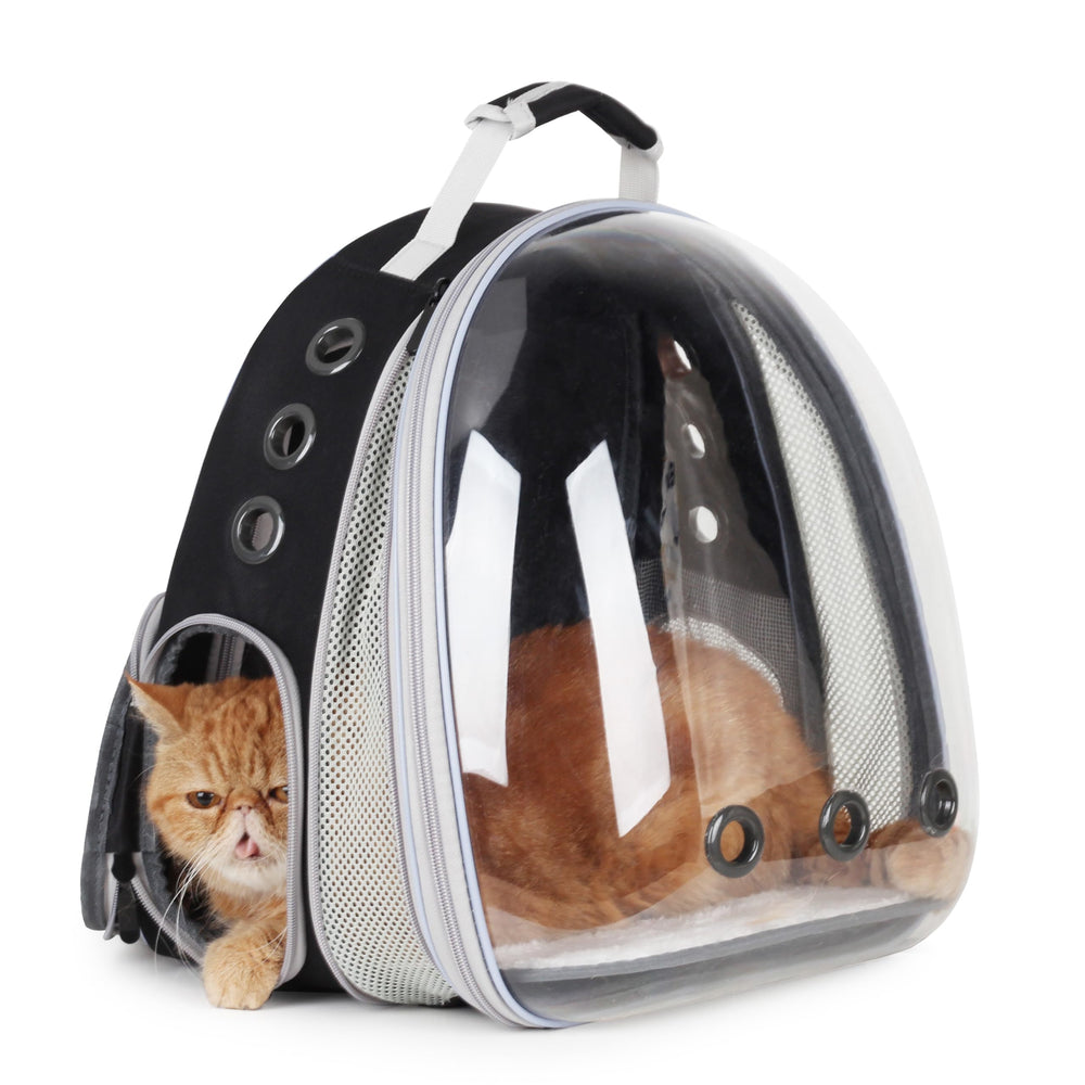 Lollimeow: ventana burbuja para observar el entorno con tu gato