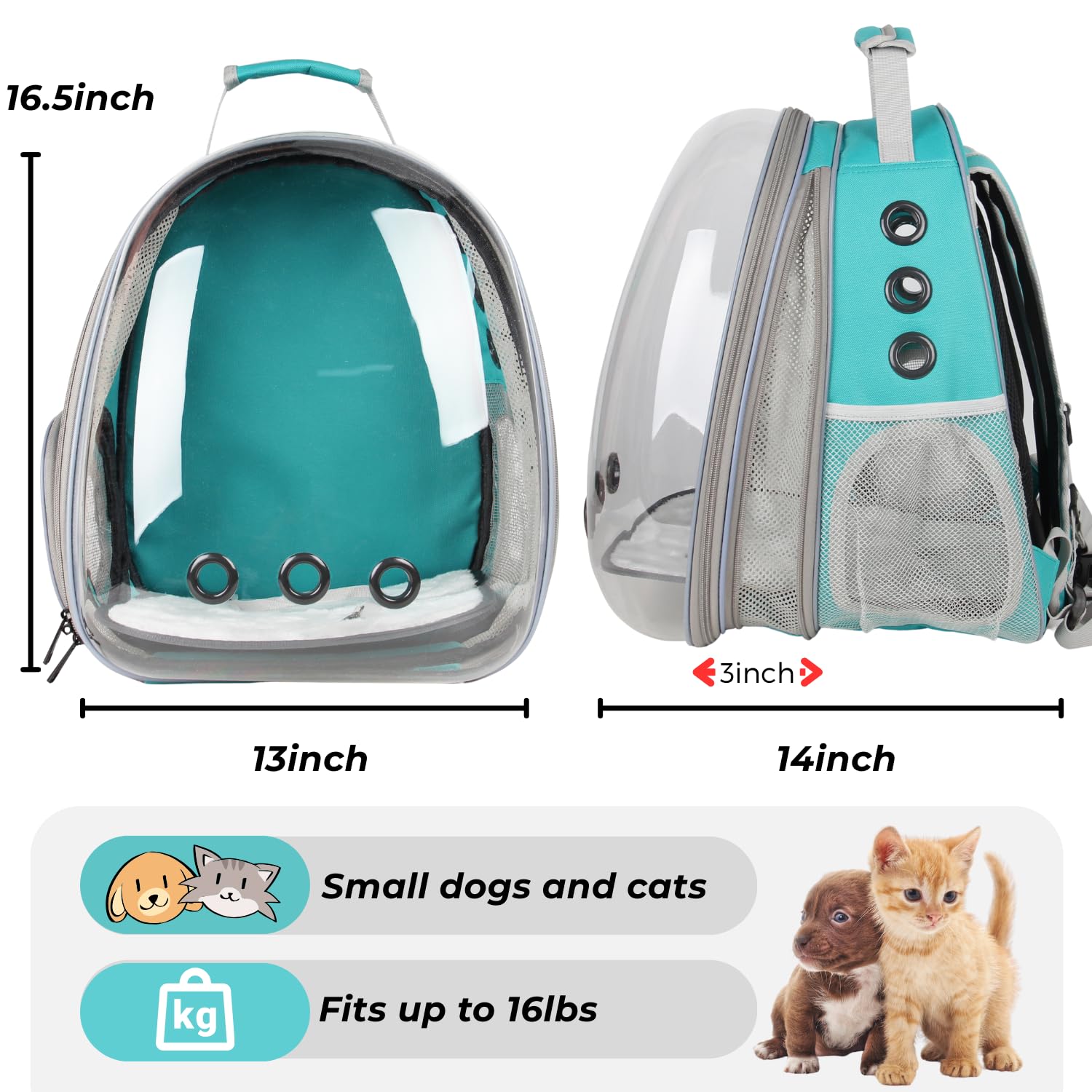 Diseño Lollimeow XL expandible ofrece más espacio para gatos y perros pequeños