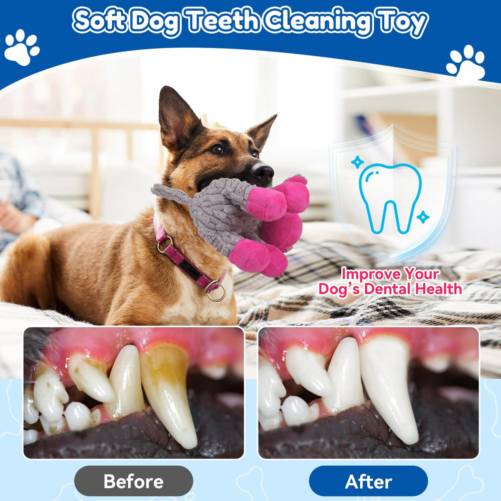 Loncoldy regalo ideal para cumpleaños o fiestas de perros grandes