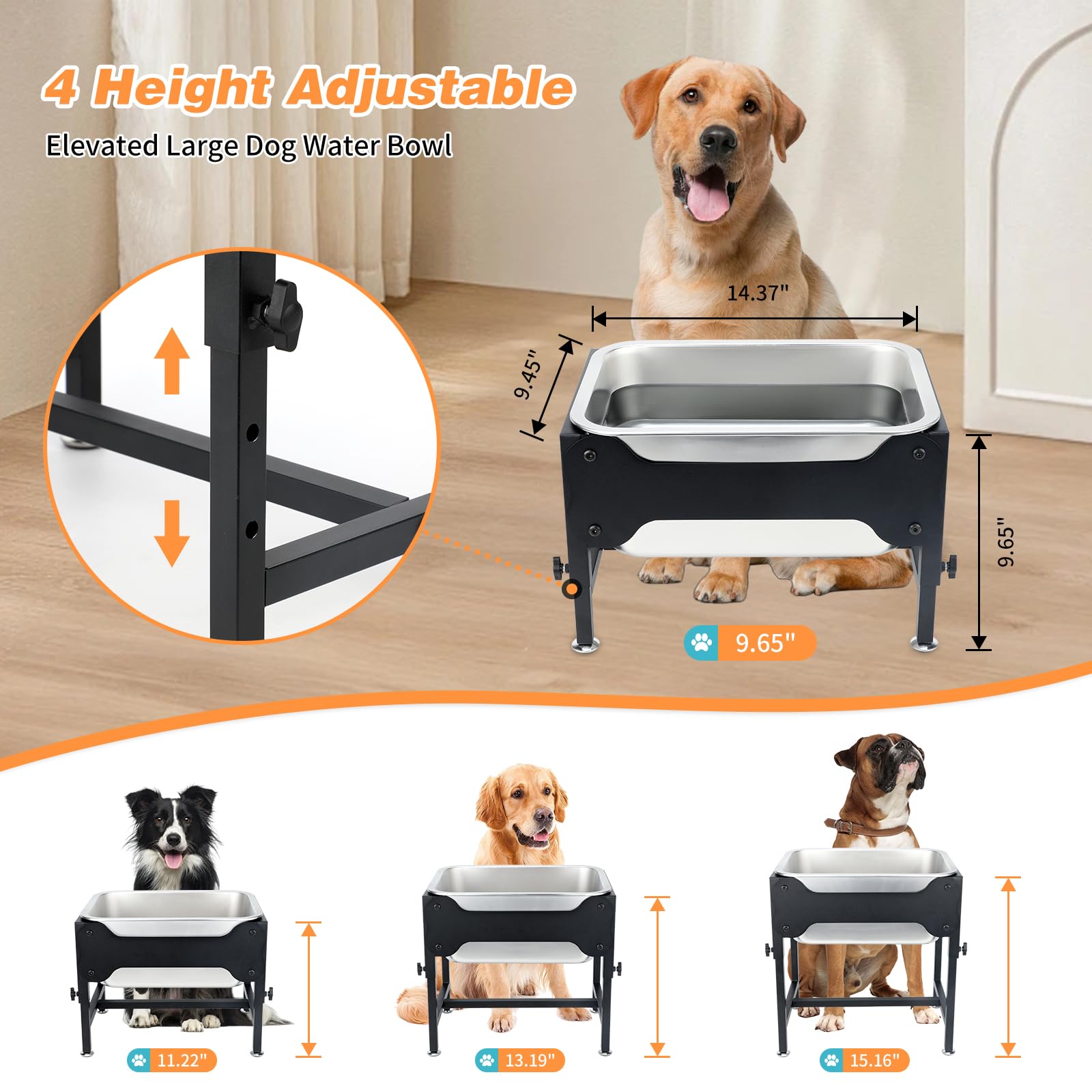 Lonepetu bebedero con altura ajustable de 4 niveles.