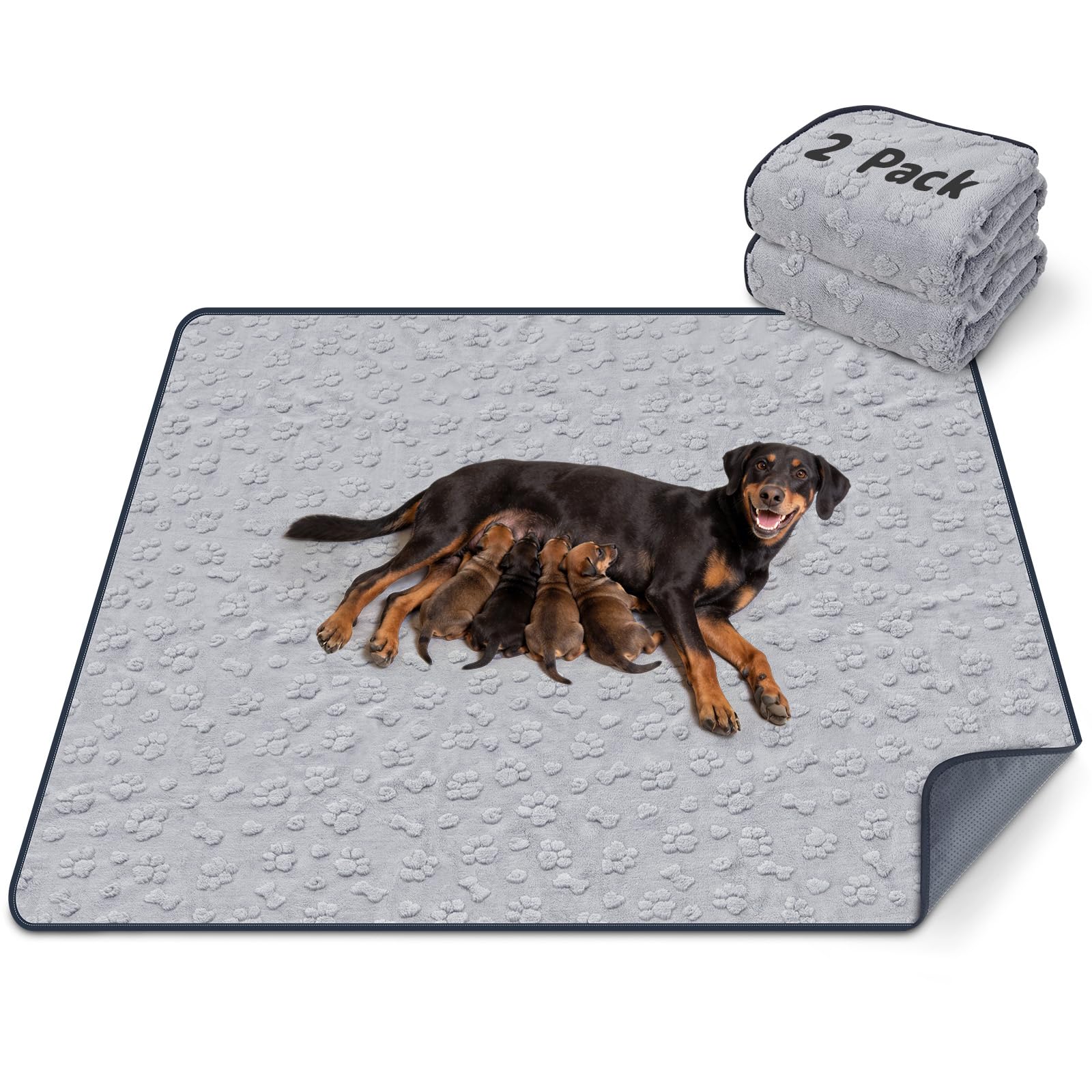 LOOBANI almohadilla pipí para perros grande 54x54, absorción rápida y protección del suelo