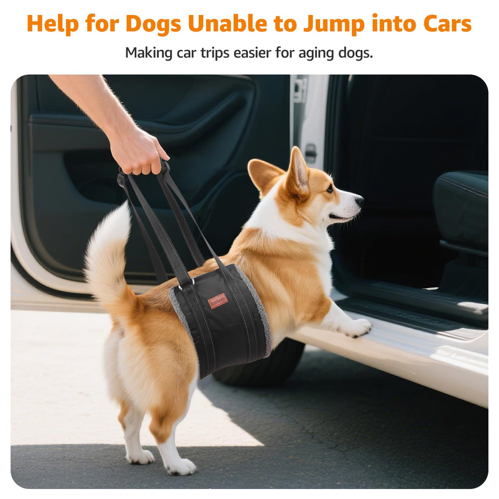 LOOBANI ayuda a subir escaleras con tu perro gracias a su diseño ergonómico.