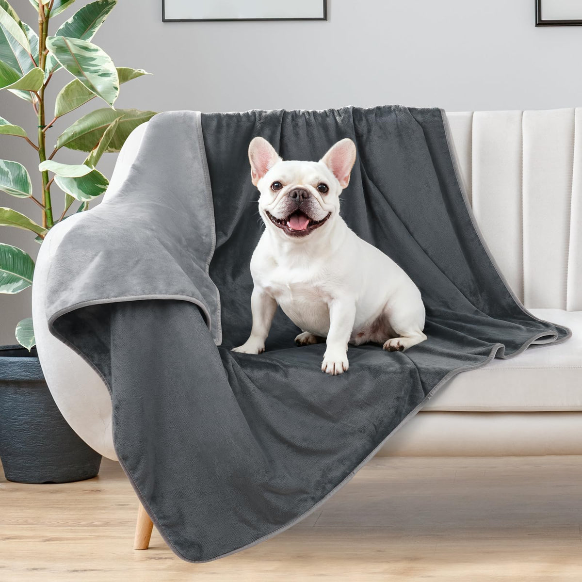 Manta LOOBANI para perros impermeable en cama, protege muebles.