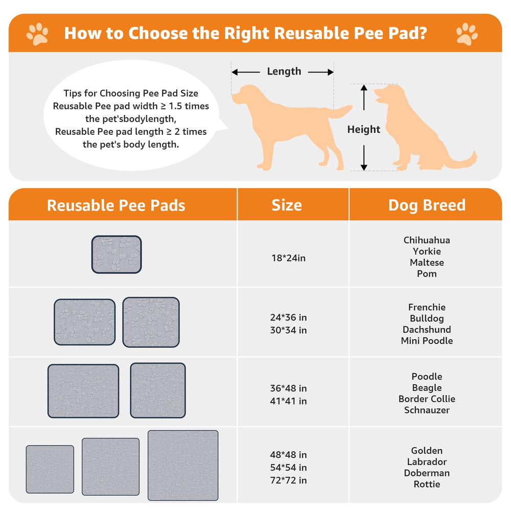 LOOBANI tamaño extra grande para perros grandes y entrenamiento prolongado.