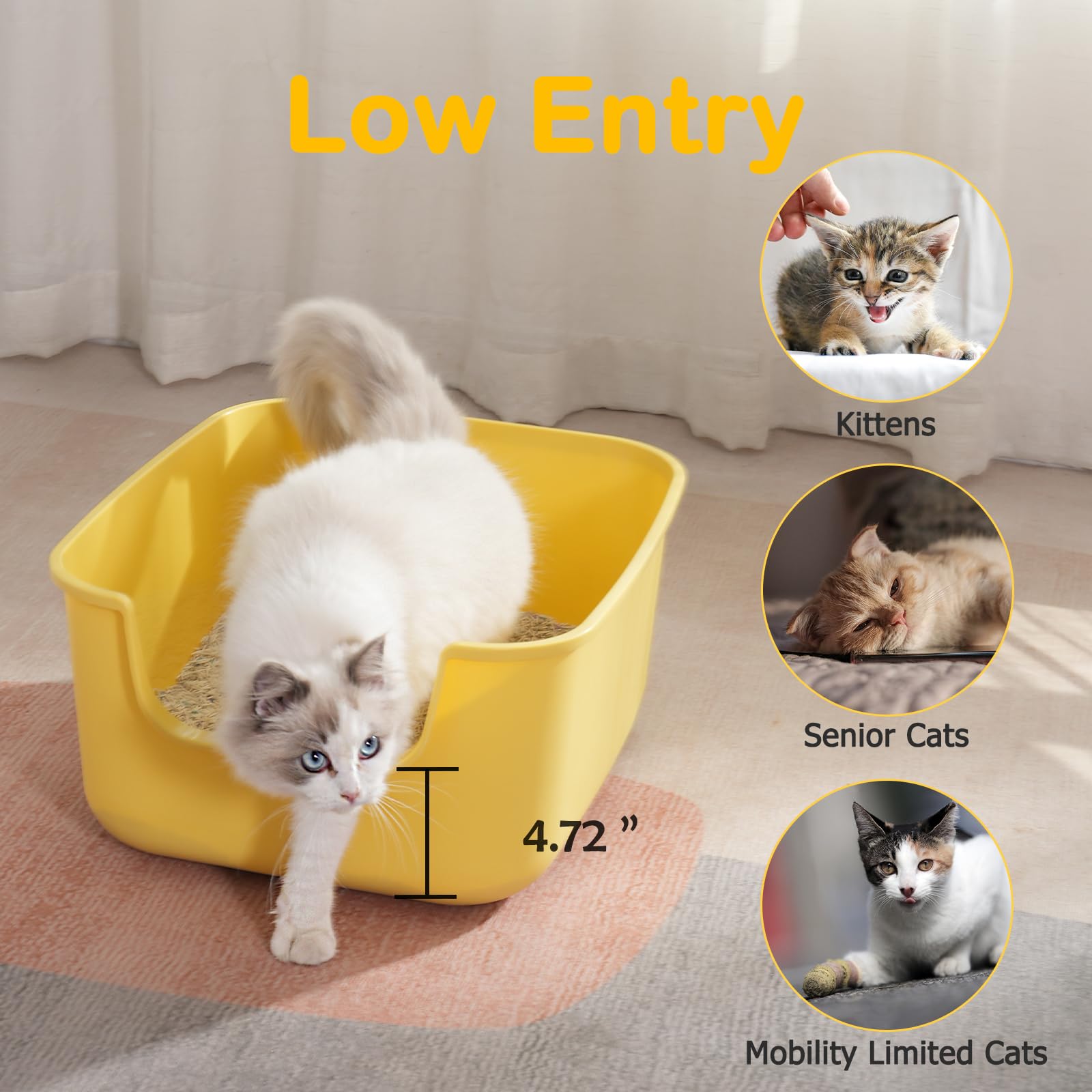 LoopTime caja de arena grande con entrada baja para gatitos y mayores.