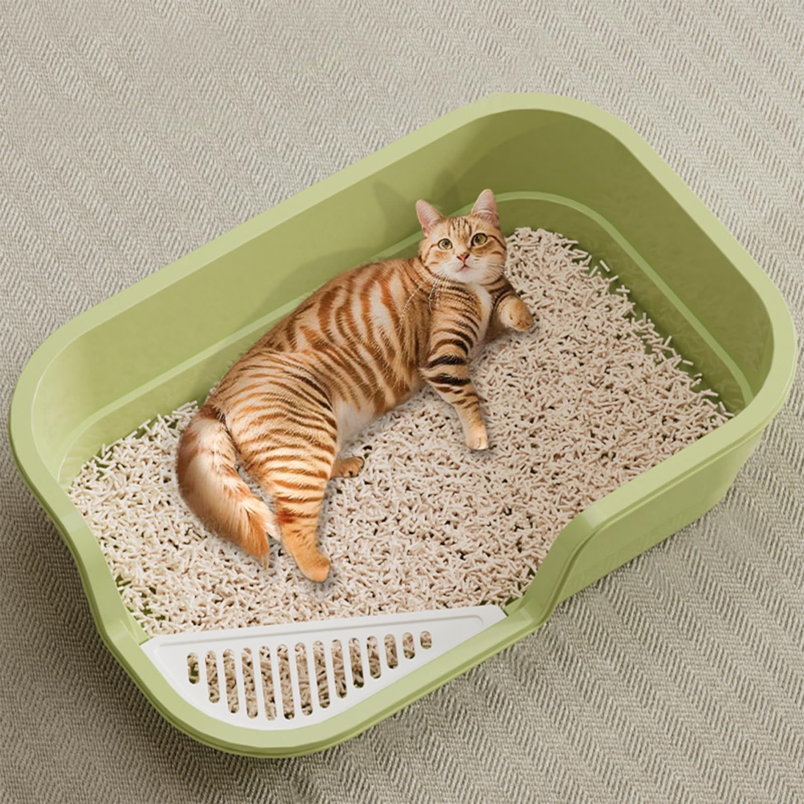 LoopTime caja de arena para gatos, ideal para uso en interiores.