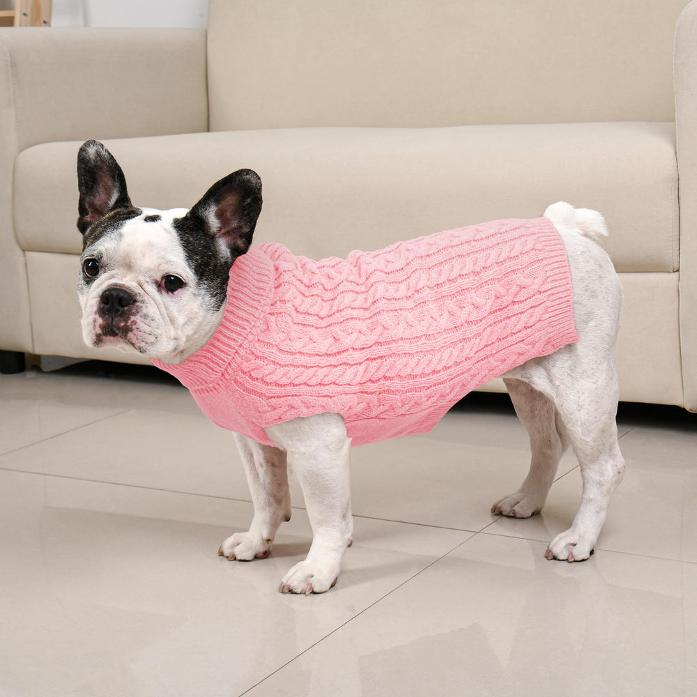 Seis colores elegantes para combinar con la personalidad de la mascota