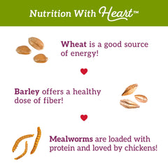 Love My Girls Snacks: sin maíz para nutrición suave y digestible en aves.