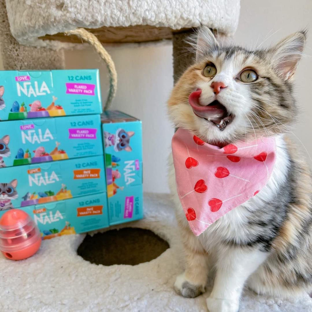 LOVE NALA paquete 12 latas, conveniente para planificar la alimentación