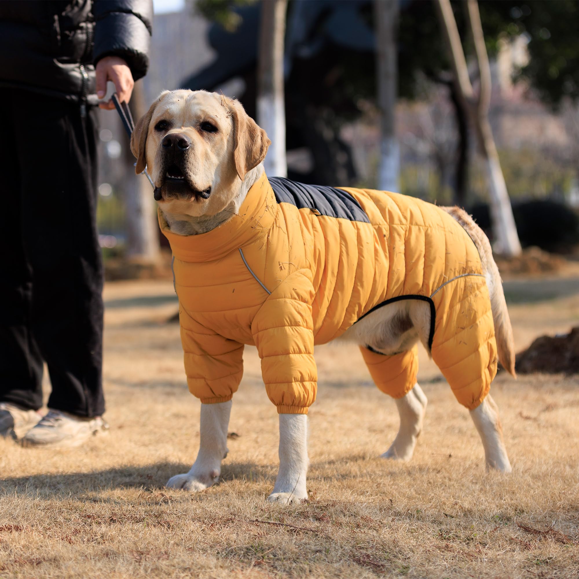 Lovelonglong chaqueta ideal para aventuras de invierno al aire libre.