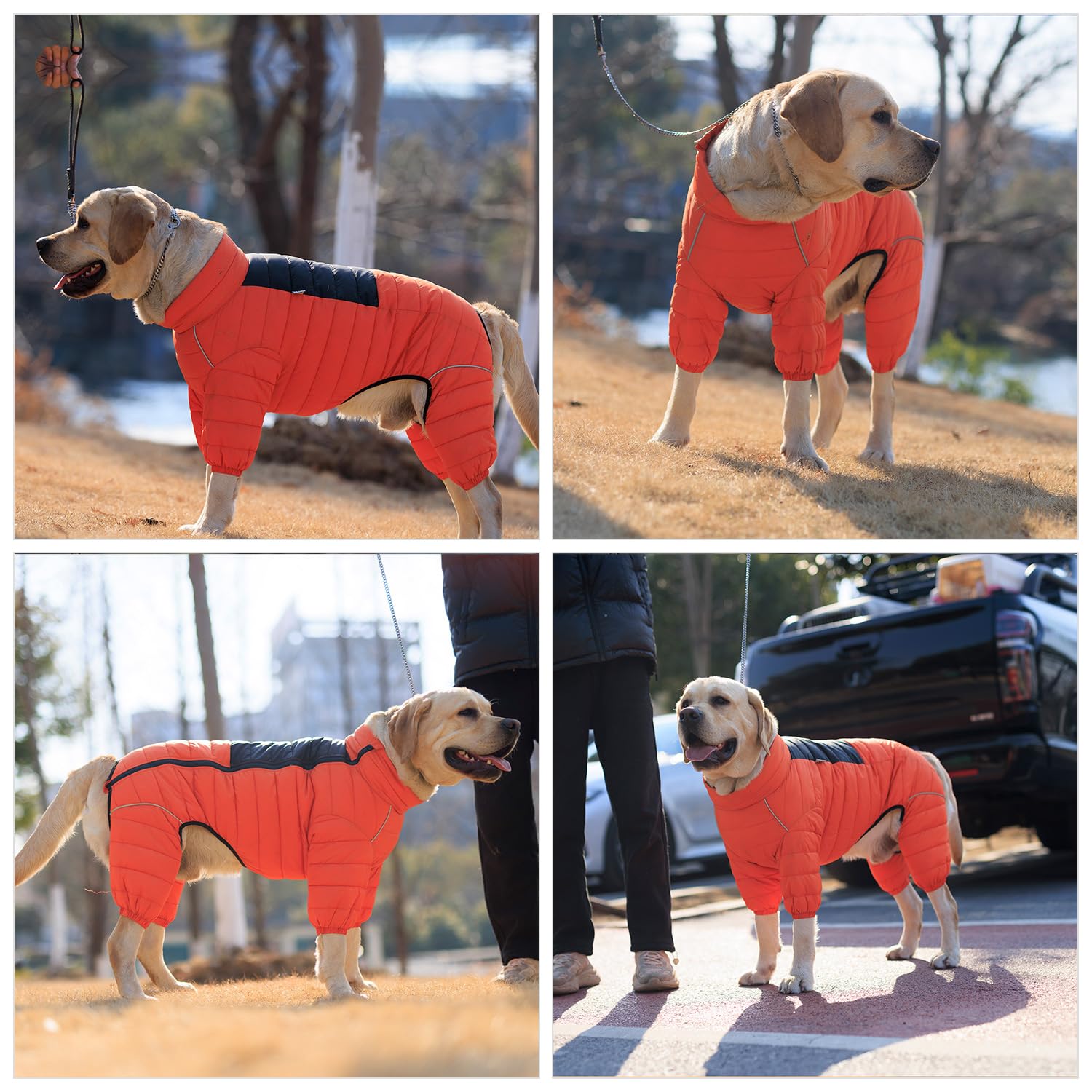 Lovelonglong Warm Jacket: diseño color-block para estilo urbano