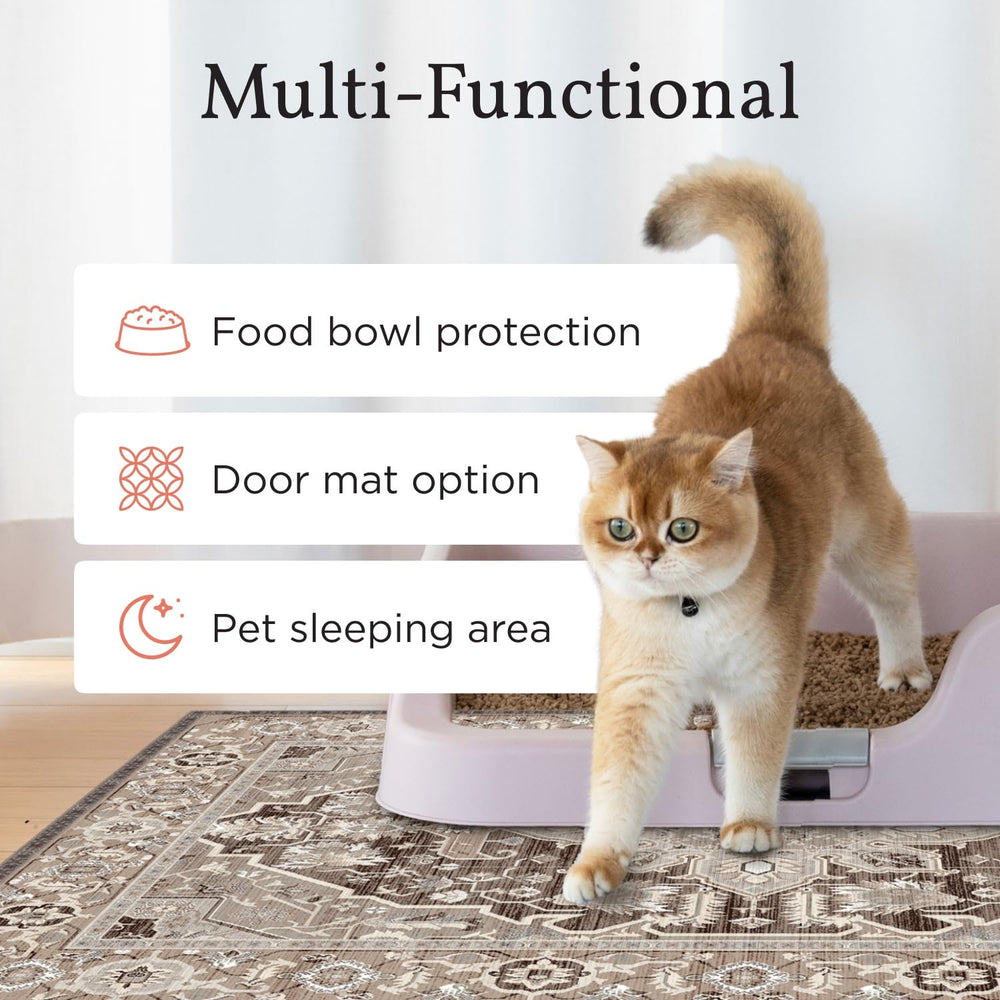 Lovewag protección de suelos en hogares con varios gatos y más limpio.