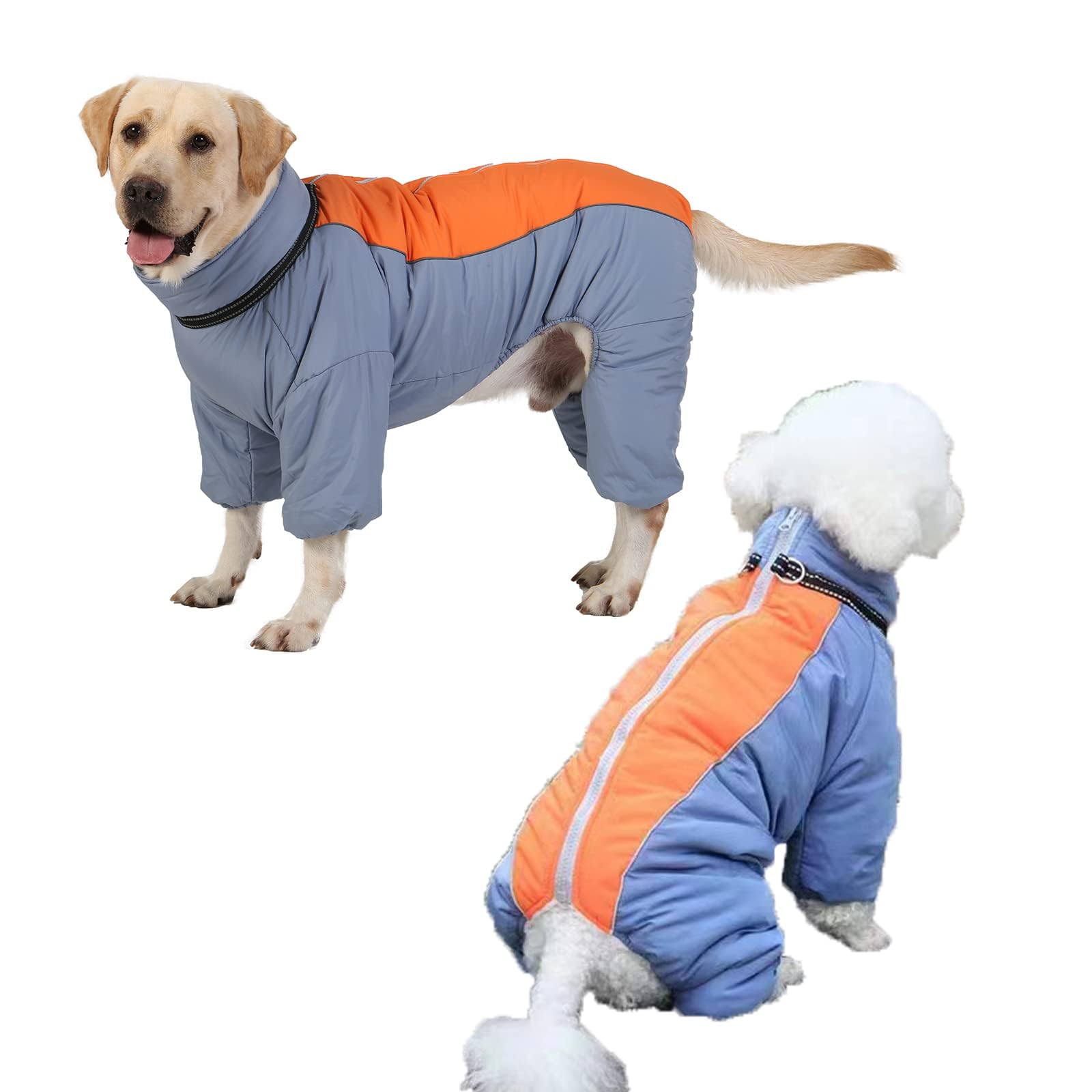 LOVINFURBABY HazeBlue paseo nocturno con visibilidad