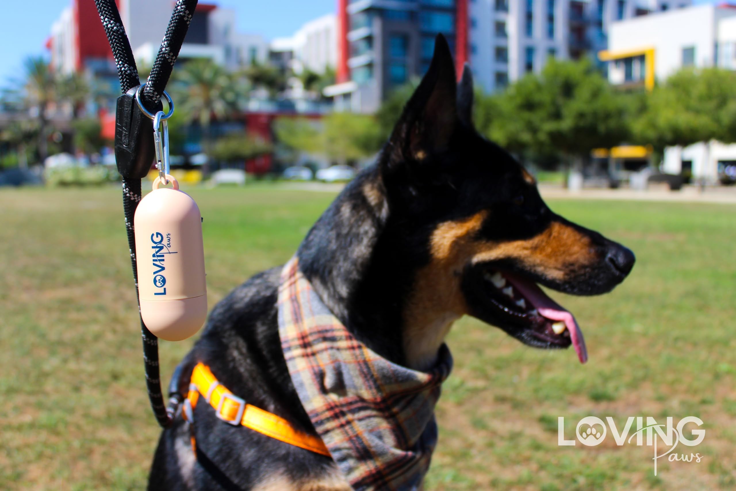 LOVING Paws bolsa portátil para desechos de perro durante viajes