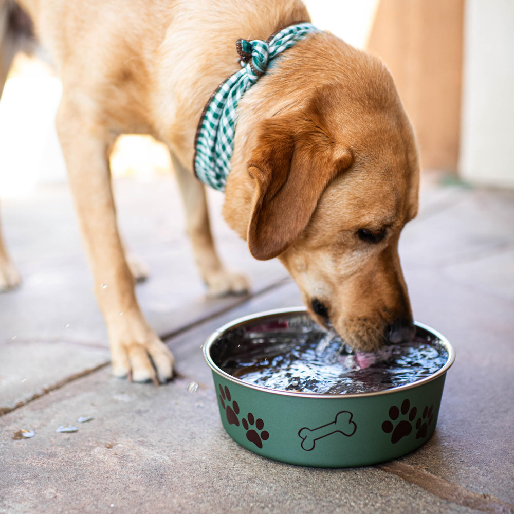 Apto para lavavajillas, facilita la limpieza del cuenco de mascotas