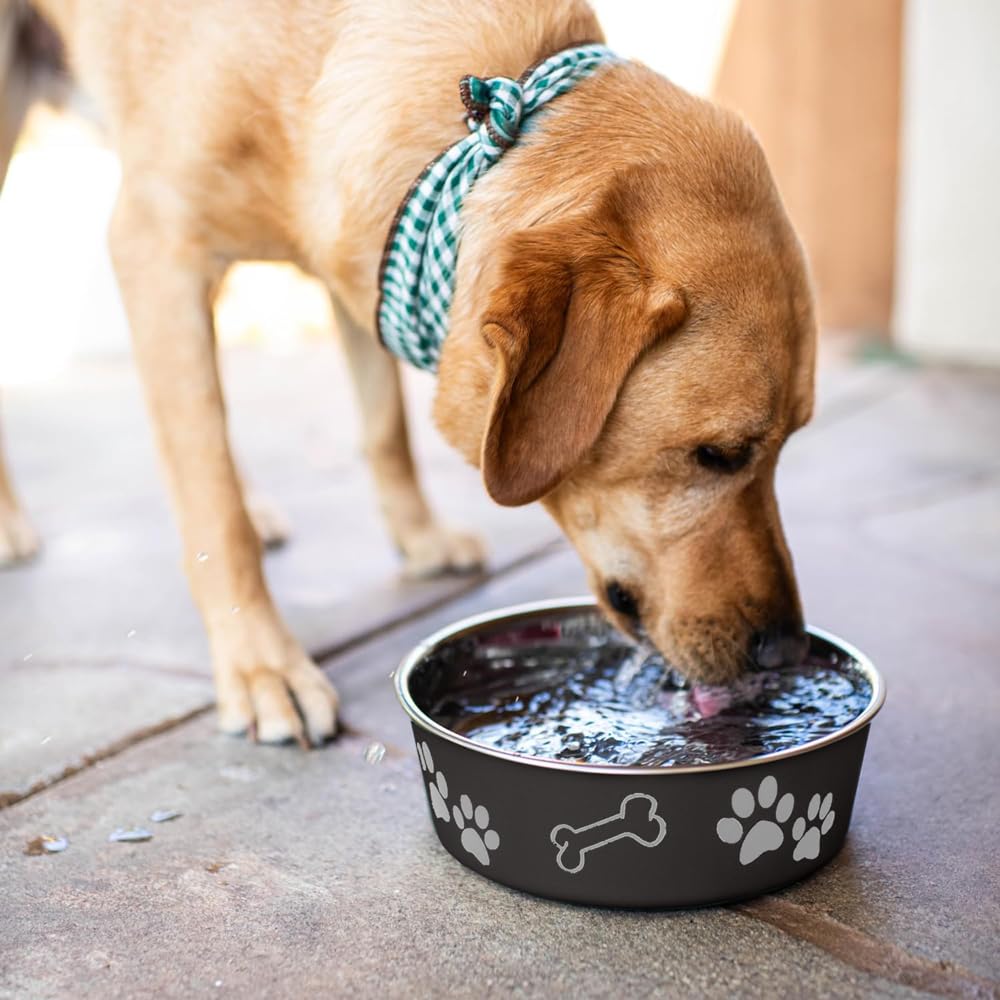 Bella Bowl de Loving Pets, diseño anti-derrame con acabado pulido.