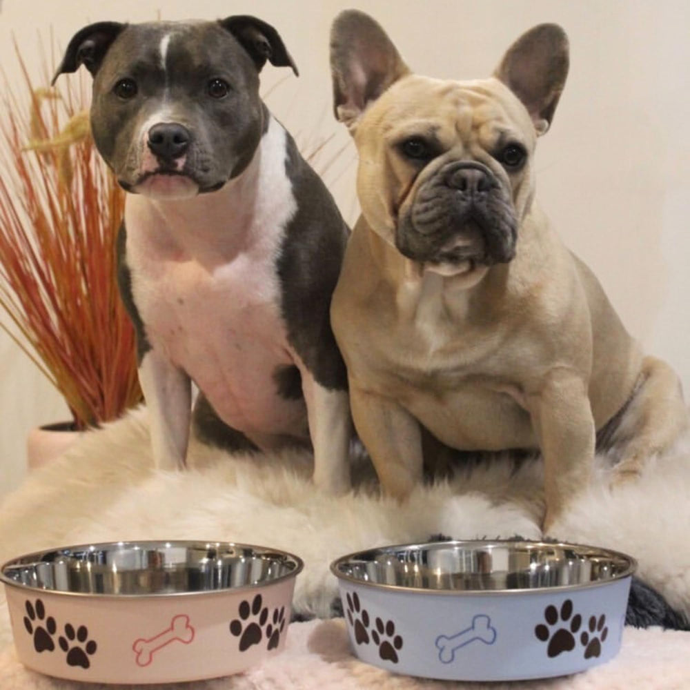 Bella Bowl apta para lavavajillas, facilita la limpieza después de comer.