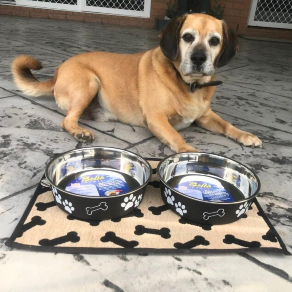 Loving Pets Bella Bowl apto para lavavajillas, limpieza sencilla.