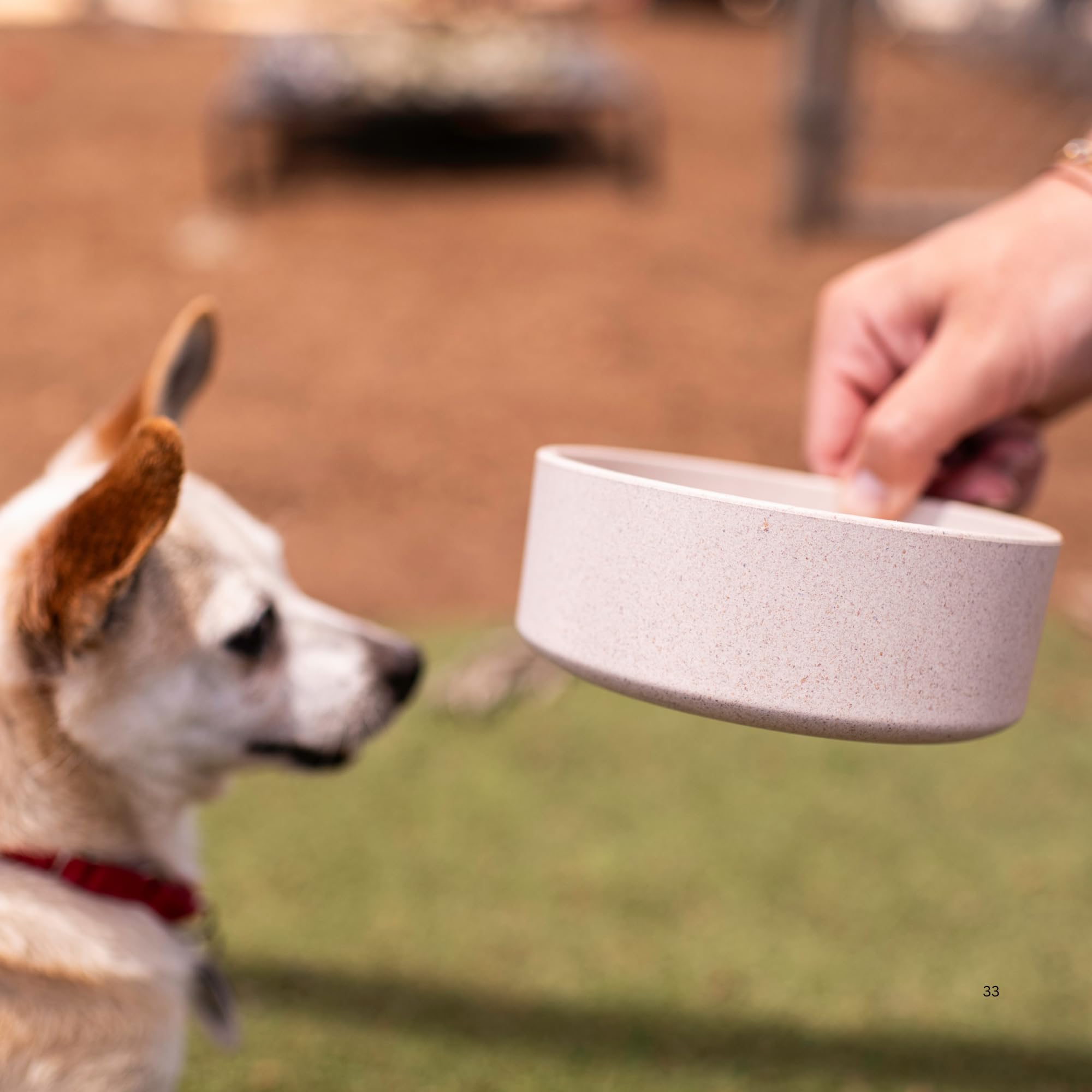 Loving Pets Dolce Bamboo plato mediano para perros o gatos