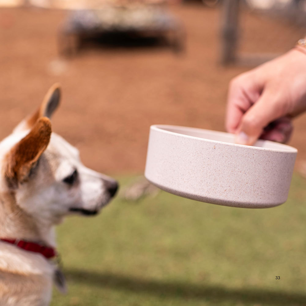 Loving Pets Dolce Bamboo plato mediano para perros o gatos